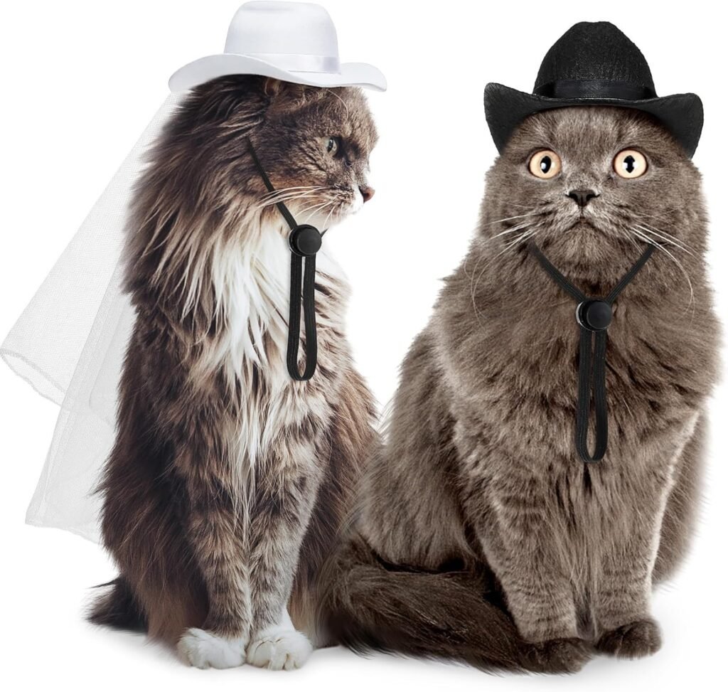 Geyoga 2 Pcs Pet Cowboy Hat Pet Groom and Bride Hat with Veil Cat Dog Wedding Headwear Western Costume Accessories for Puppy Kitten Party Daily Wearing(Small)