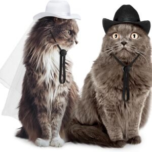 Geyoga 2 Pcs Pet Cowboy Hat Pet Groom and Bride Hat with Veil Cat Dog Wedding Headwear Western Costume Accessories for Puppy Kitten Party Daily Wearing(Small)